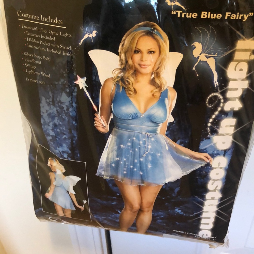 Plus Size True Blue Fairy Costume